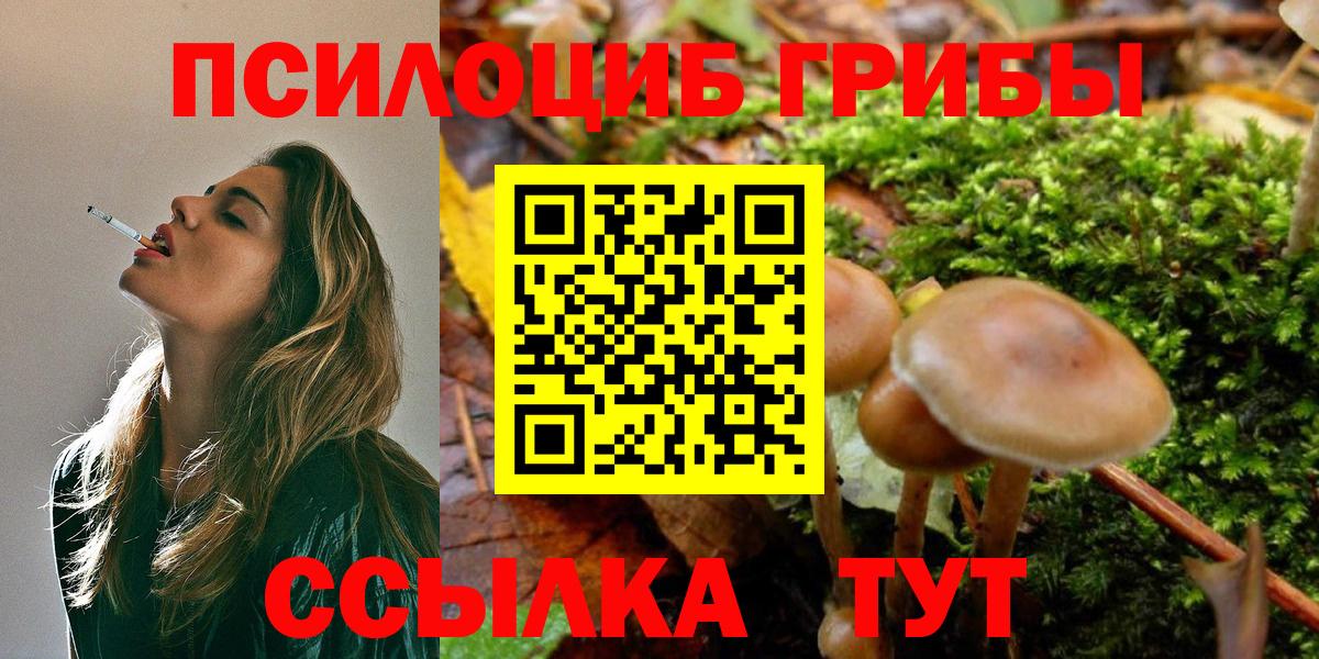 Псилоцибиновые грибы ЛСД Славгород