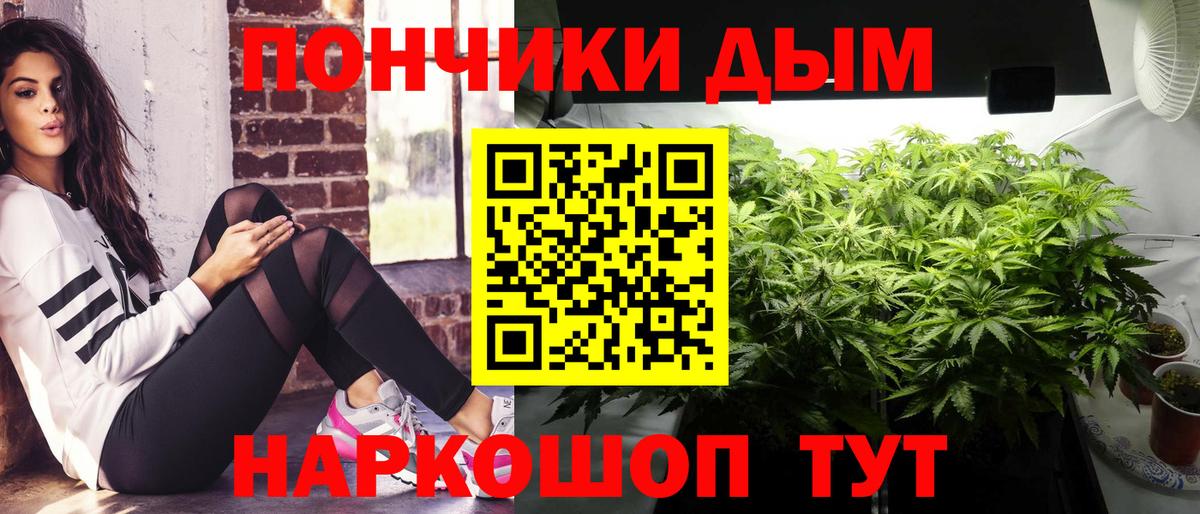 Шишки марихуана марихуана Славгород